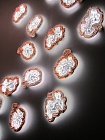 ���������� Salone del Mobile 2015 - ����